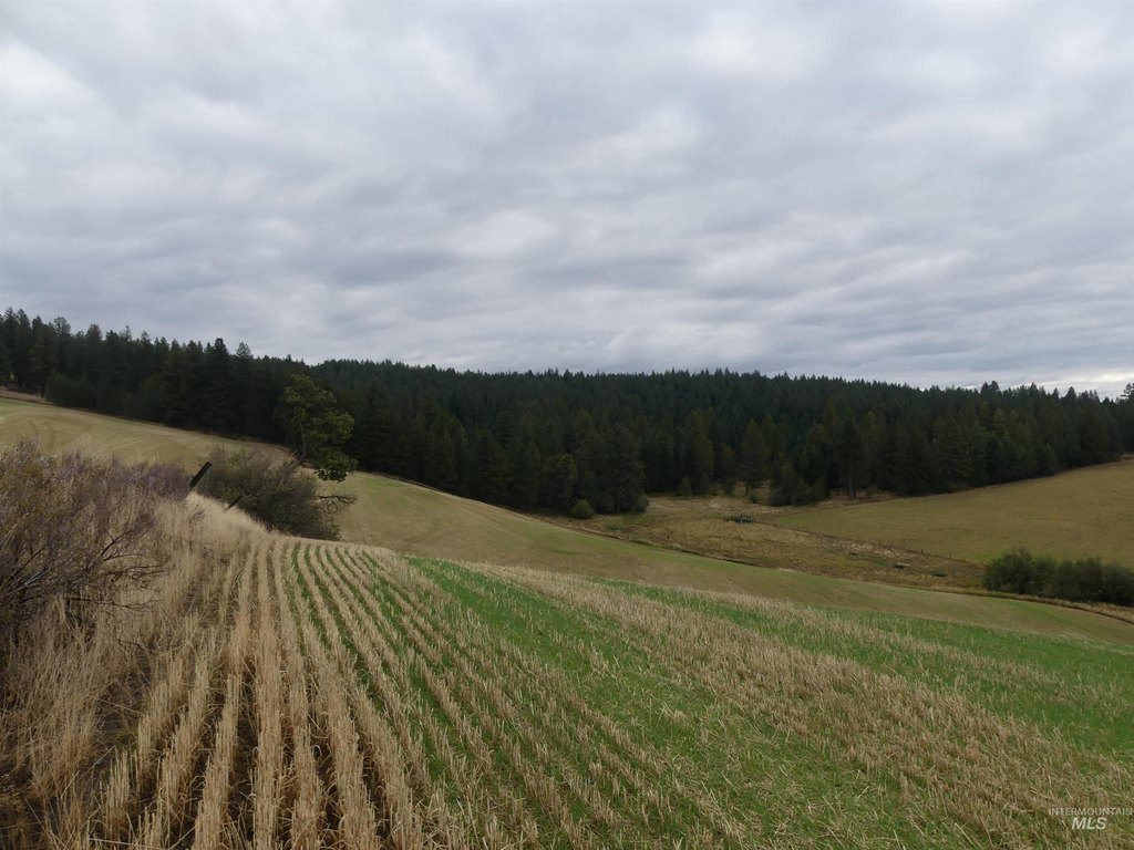 Picture 27