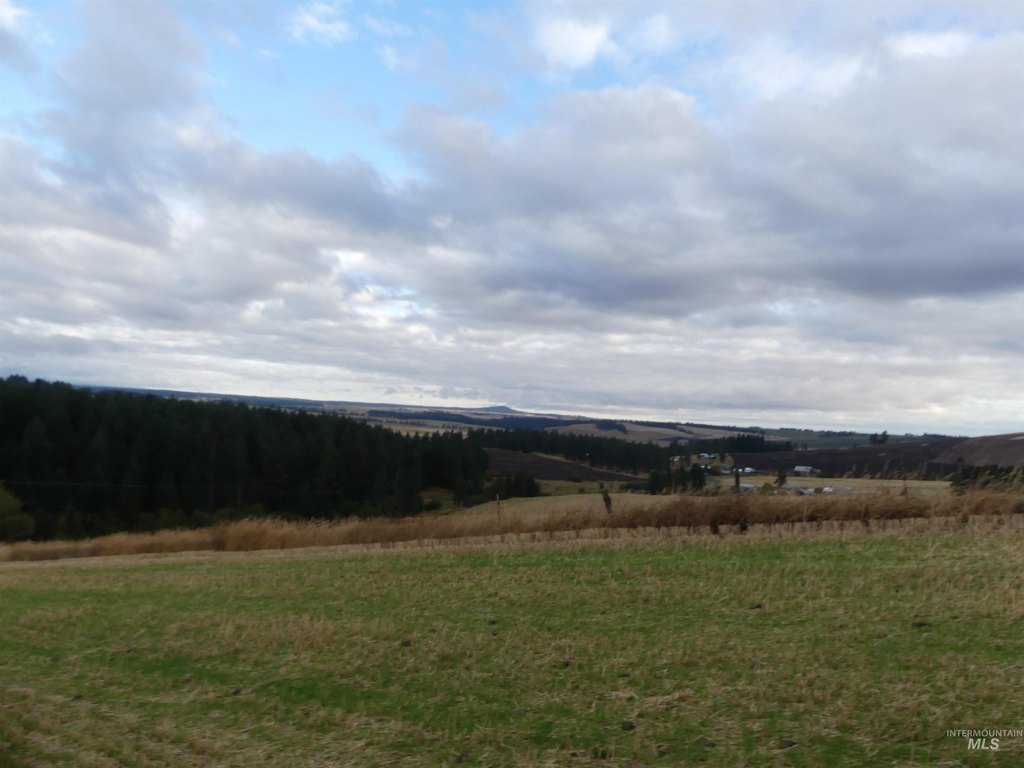 Picture 38