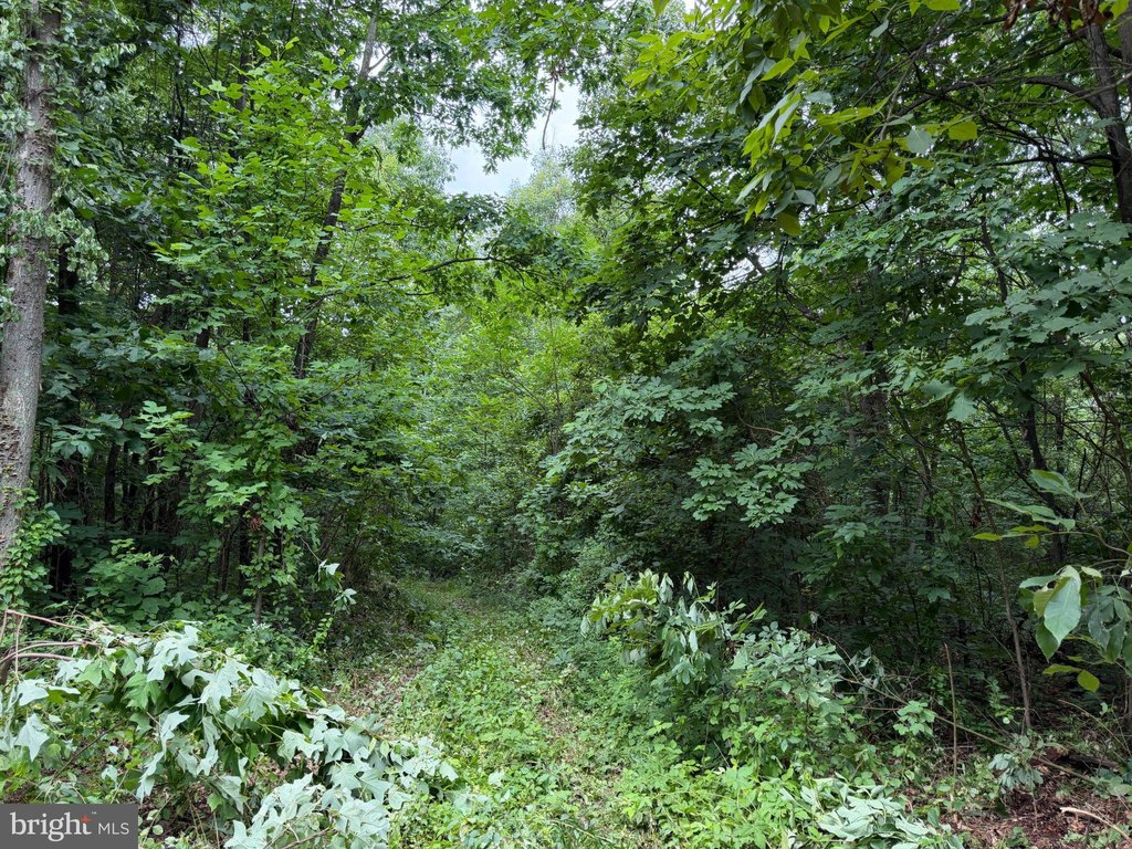 Picture 9