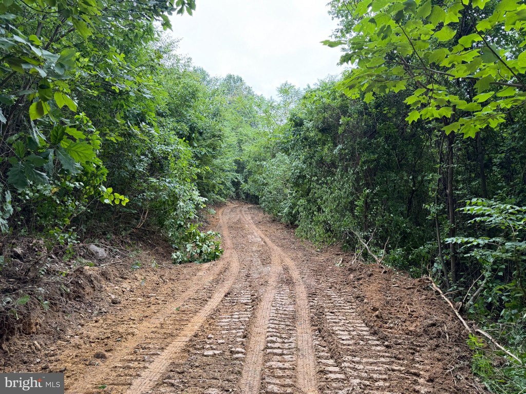 Picture 5