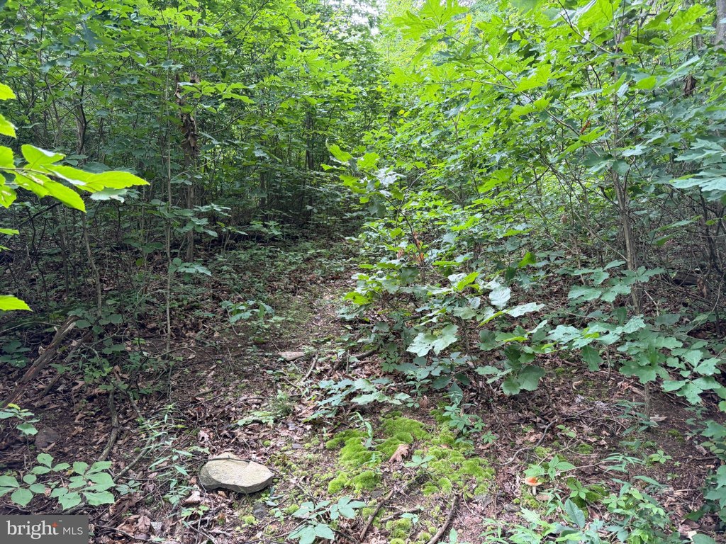 Picture 14