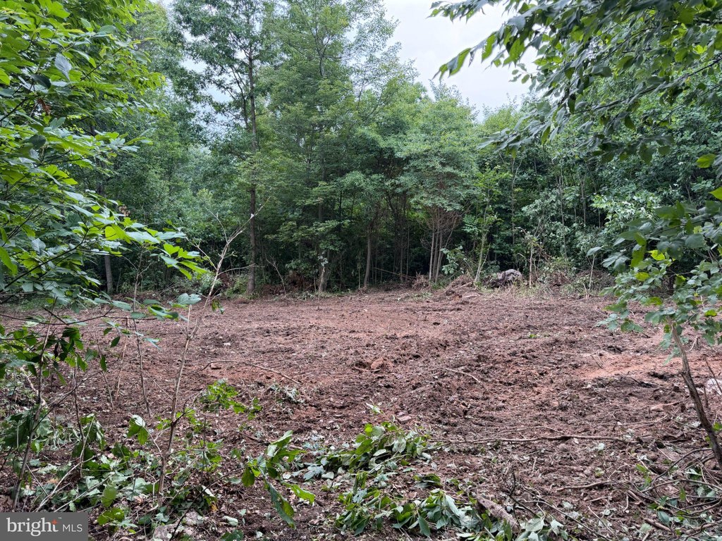 Picture 15