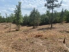 Land Near Lake Eufaula