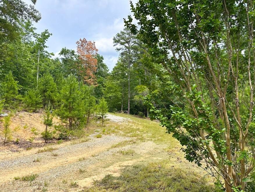 Picture 8