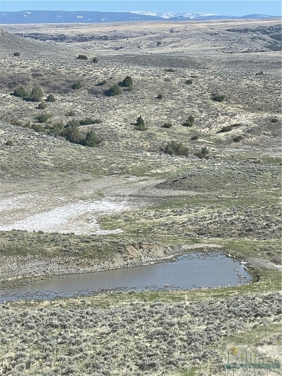 Picture 20