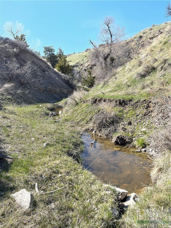 Picture 17