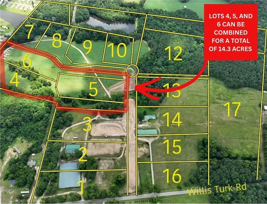 Picture 3