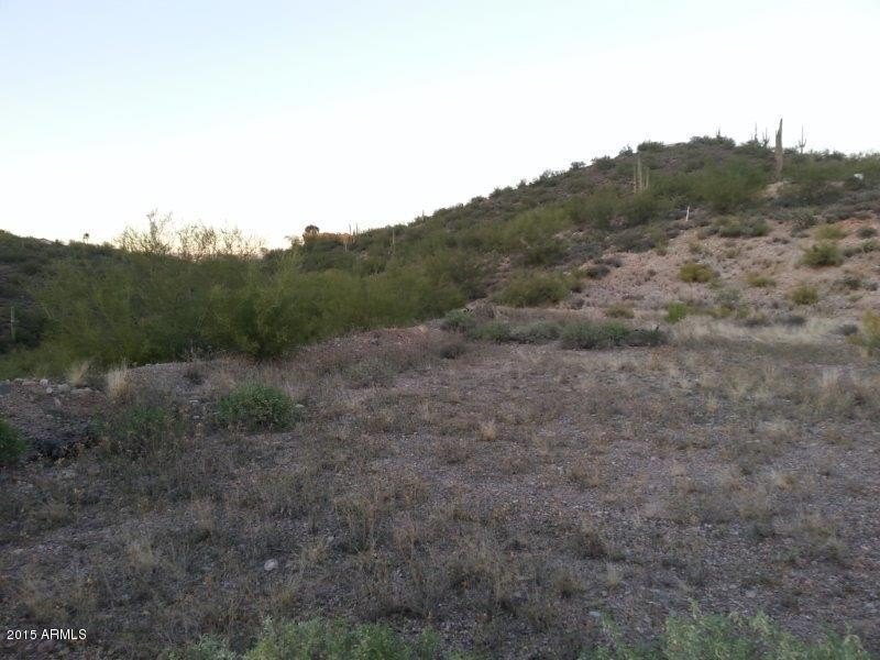 Picture 8