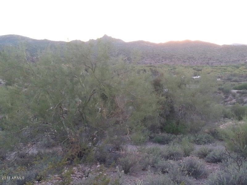 Picture 11