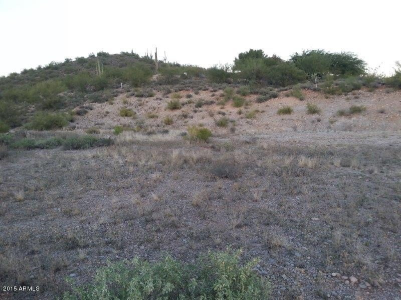 Picture 7