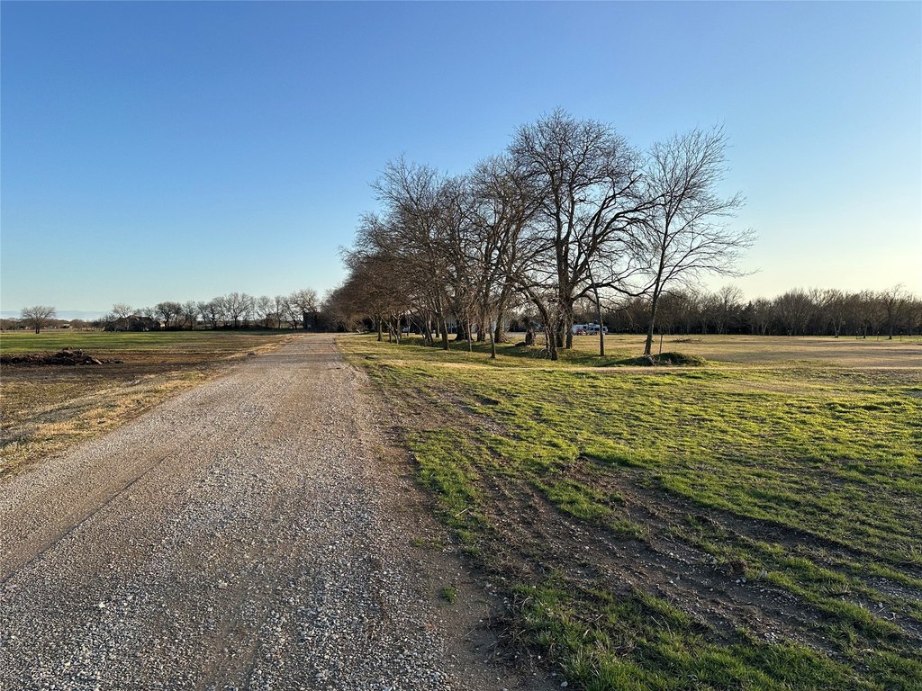 Picture 19