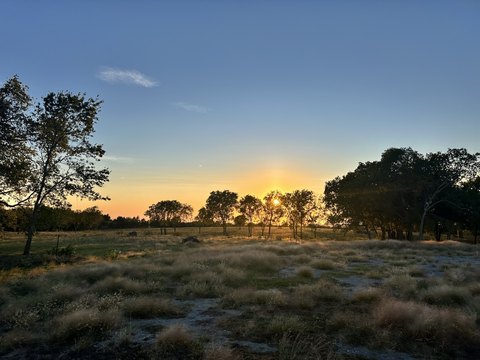Land with Shop in Gunter, TX