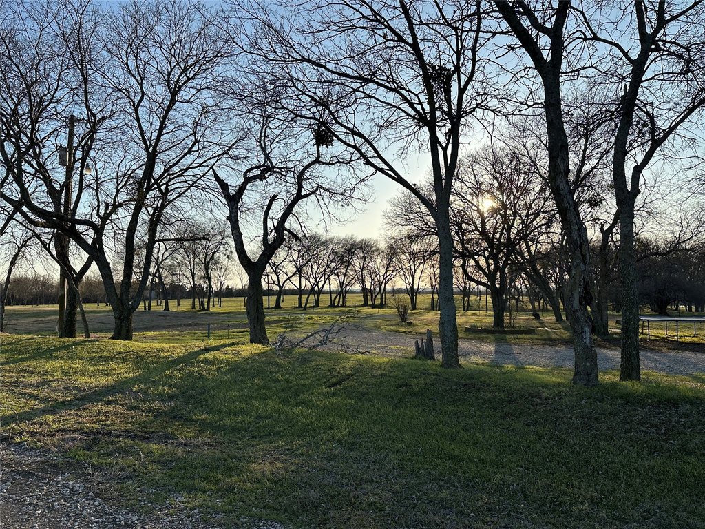 Picture 18