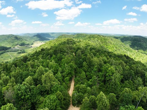 LAND - Irvine, KY