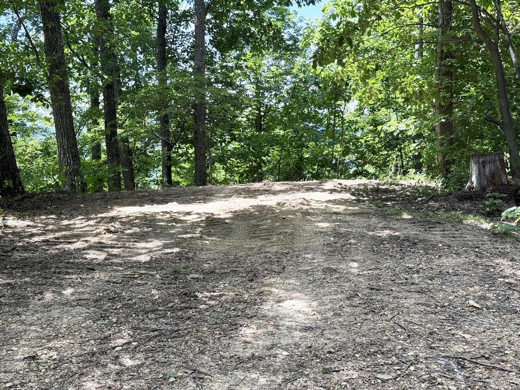 Picture 4