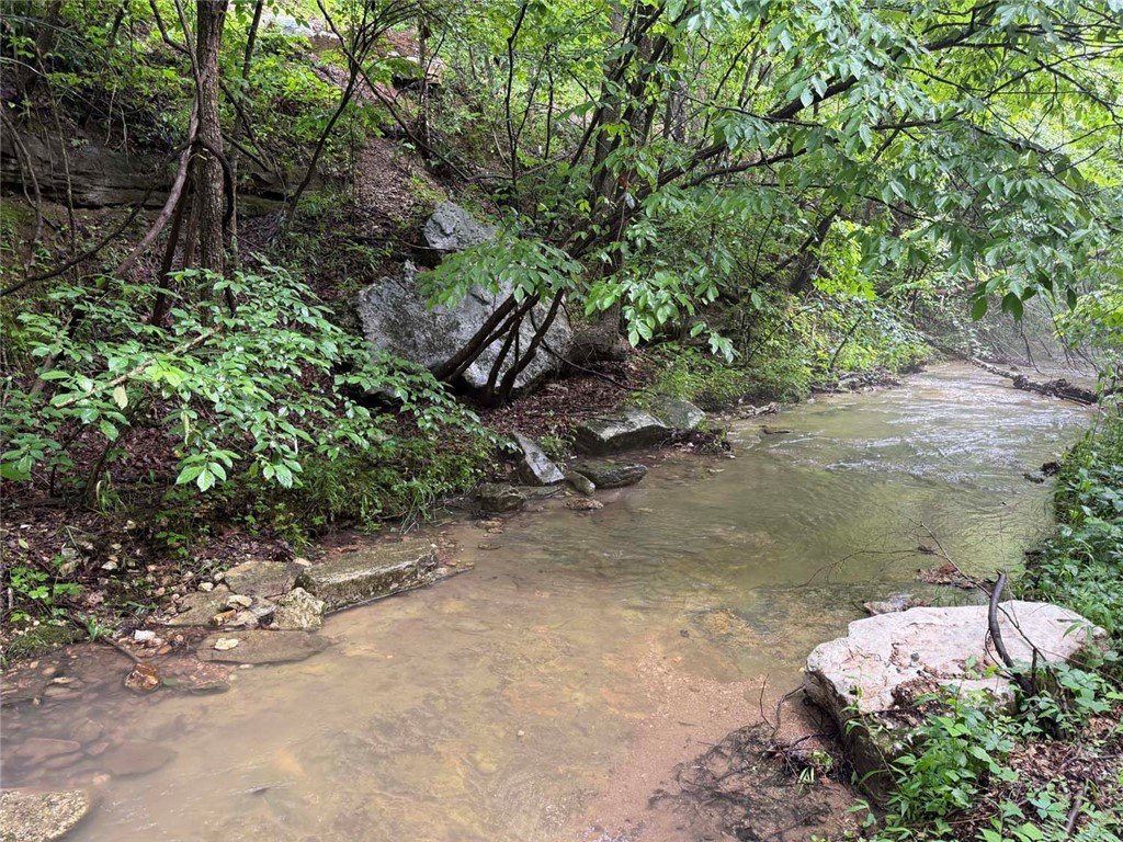 Picture 41