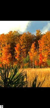 Recreation Land with Mineral Rights