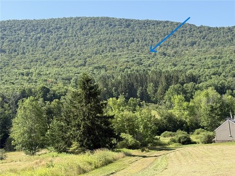 100+ Acre Wooded Land Parcel