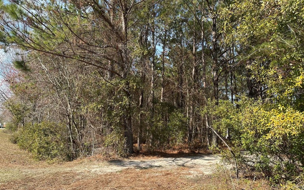 Picture 3