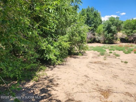 Commercial Land in Aztec, NM