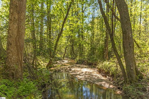 Expansive Wooded Retreat in Easley
