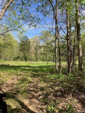 45 Acres of Wooded Land