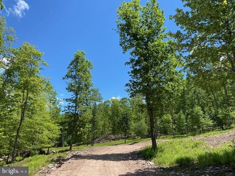 Secluded Wooded Land Parcel