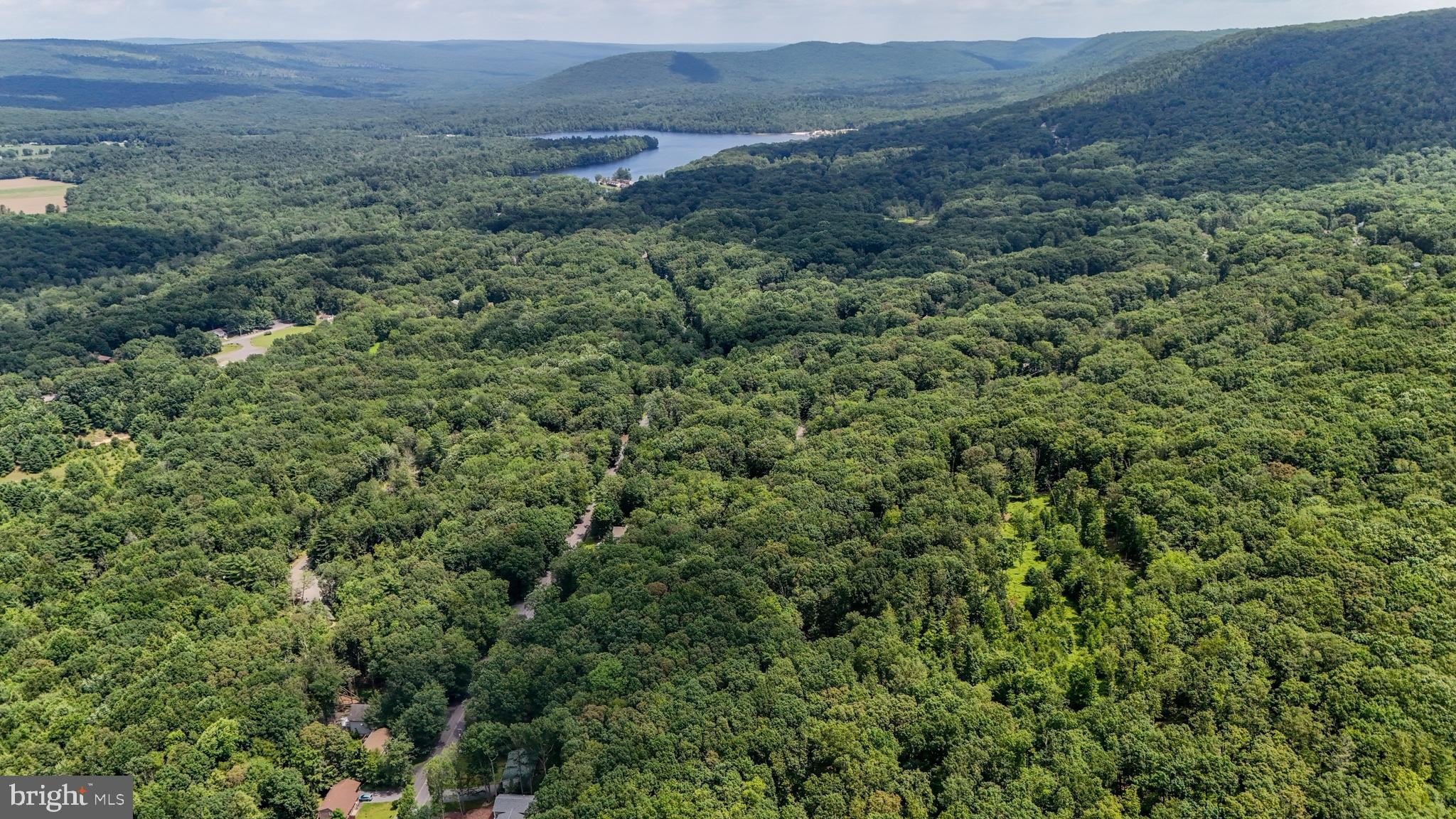 Secluded Wooded Land Parcel