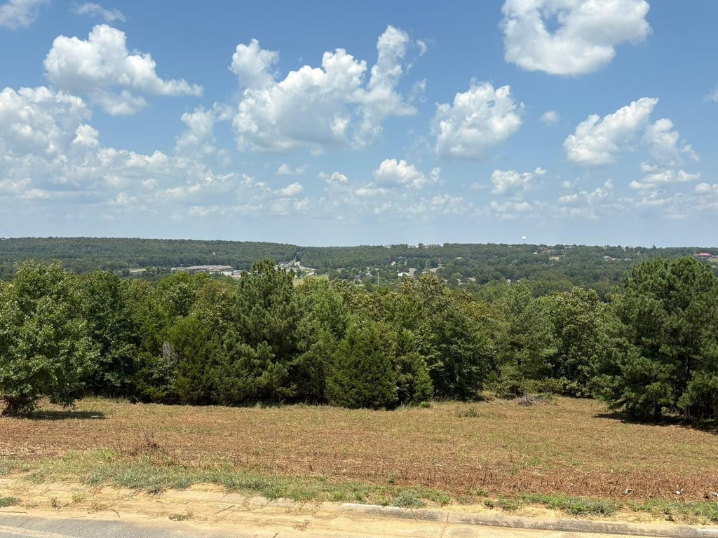 Picture 6