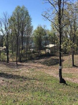 LAND - Spring City, TN