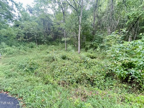 Greeneville, TN Land Opportunity
