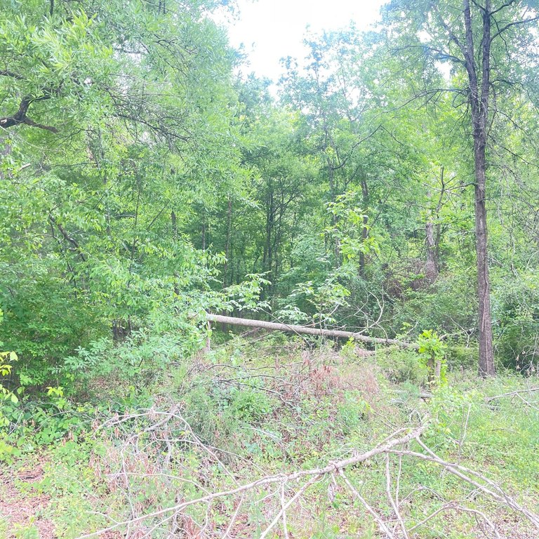 Picture 3