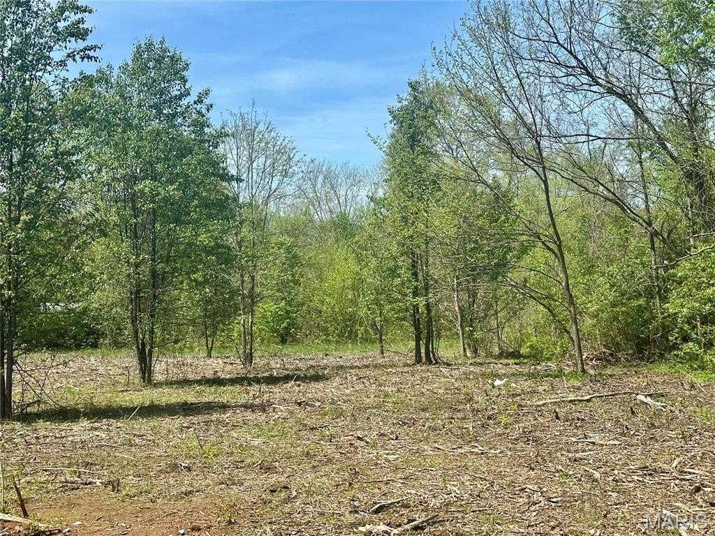 Picture 3
