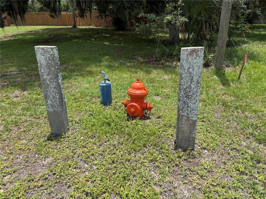 Picture 6
