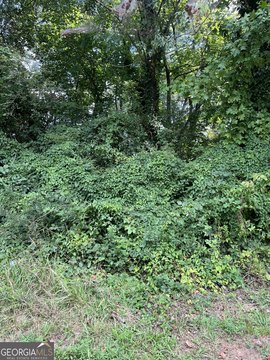 Land, Canton, GA