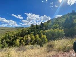 Picture 27
