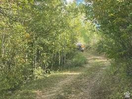Picture 30