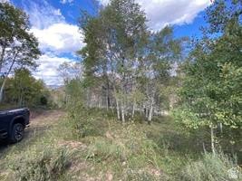 Picture 20