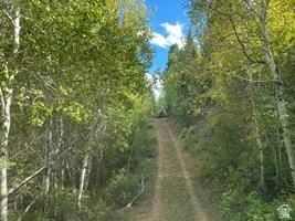 Picture 29