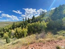 Picture 28