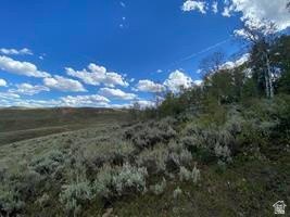 Picture 22