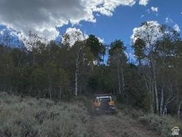 Picture 19