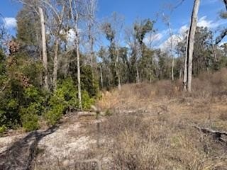Land in Old Town, Florida