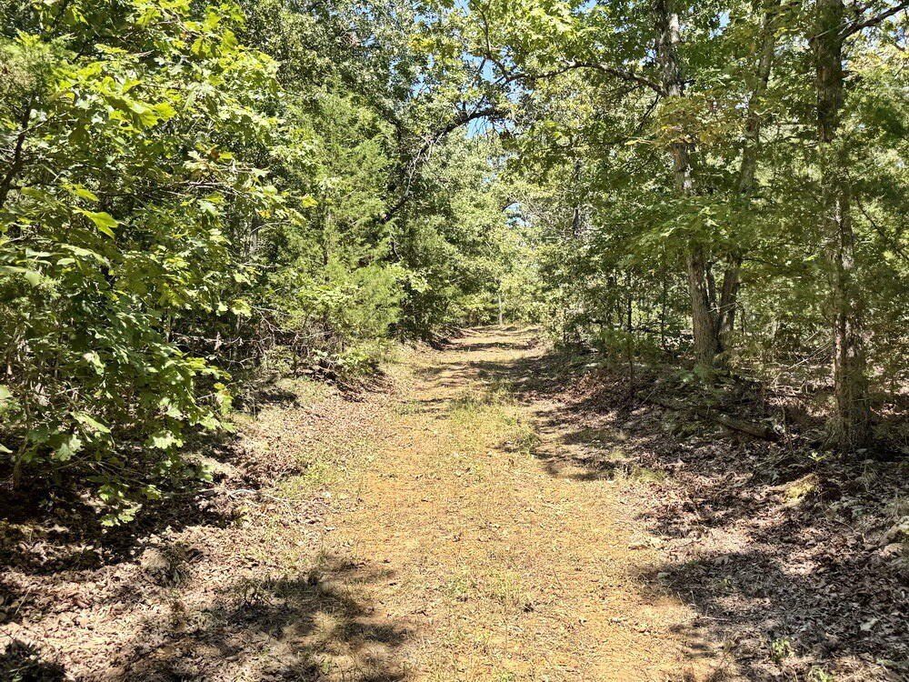 Picture 16