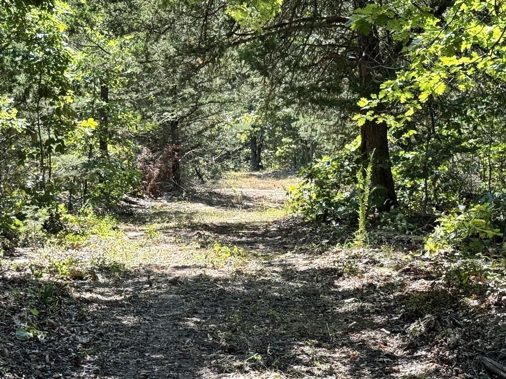 Picture 30