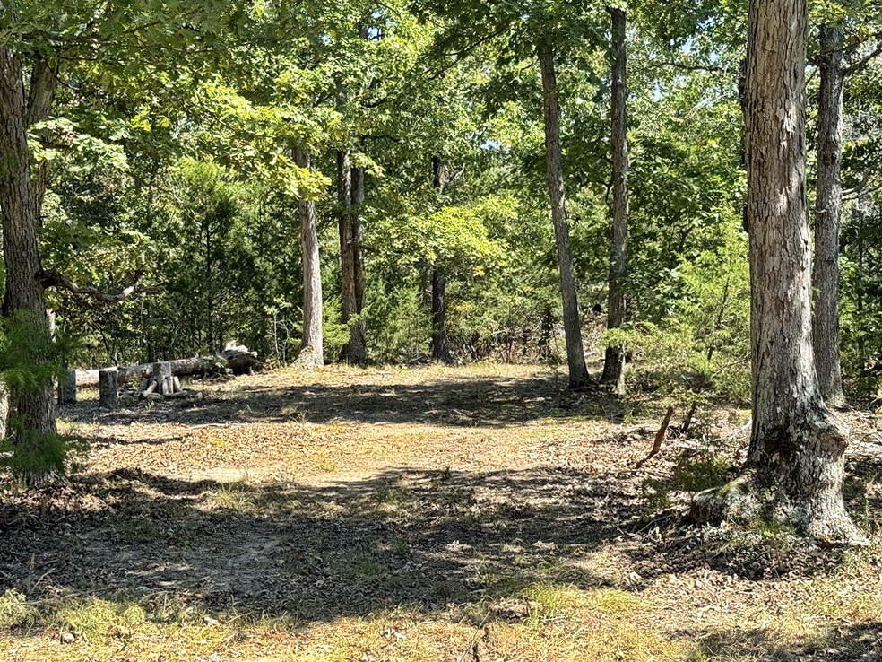Picture 32