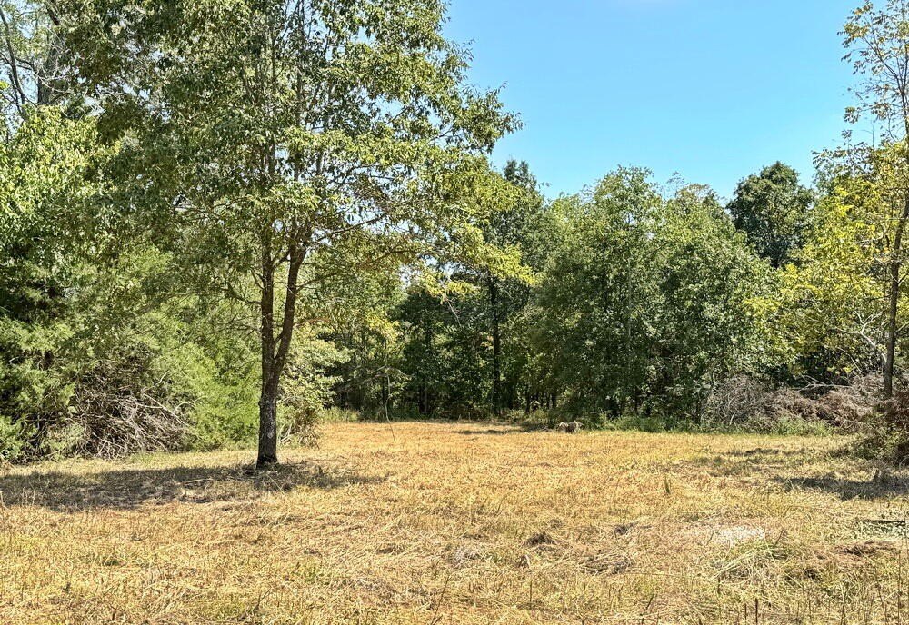 Picture 26