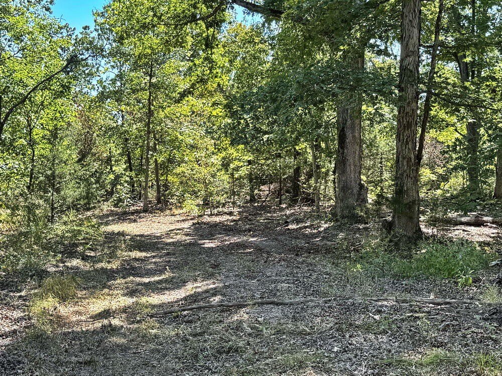Picture 31