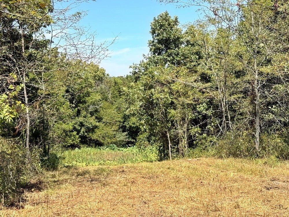 Picture 25