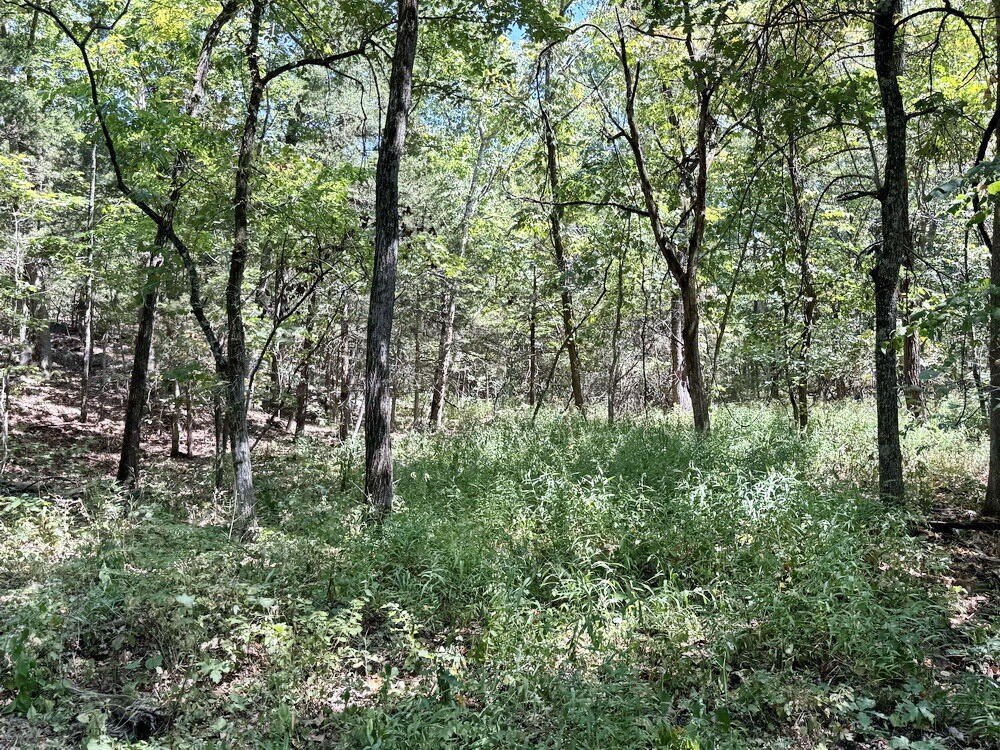 Picture 15
